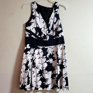 Chaps Fit and Flare Dress